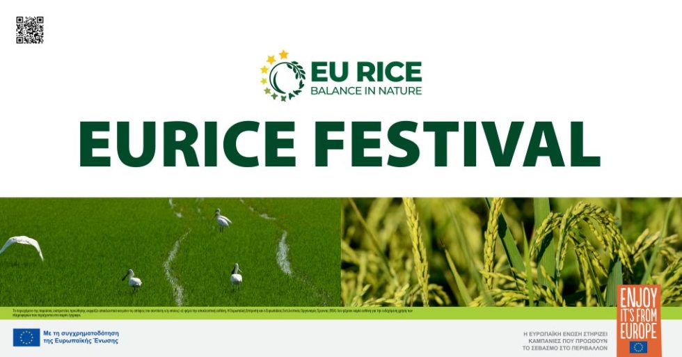 EURICE INVITATION